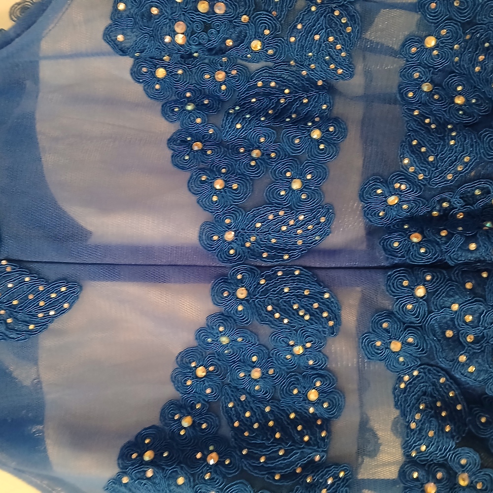 Anny Lee Blue Sequined Lace Wedding Prom Cocktail Evening Gown Dress Small - Picture 9 of 15